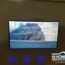 대명비디오 이미지