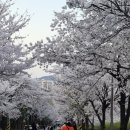 장수천수산