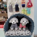 친절한 미싱 이미지