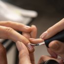 네일몬스터 이미지