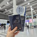 신토식당 | 베트남여행 :) 나트랑자유여행 (김해공항, 깜란공항, 패스트트랙, 공항픽업, 하바나나트랑호텔, 호핑...