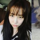 공범농장 이미지