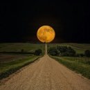 오늘 함께 이미지