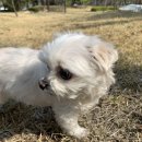 승기천 신연수역 이미지