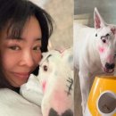 구로-구로-구로-2635 이미지