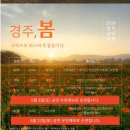2024 경주국악여행 국악열전 네이버블로그