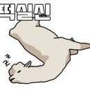 모텔 32일 이미지