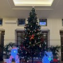 북부스포츠센터 지상1층 화장실 | 오키나와 북부 숙소 마하이나 웰니스 리조트 가성비 끝판왕 후기 (주차/오션뷰/수영장)