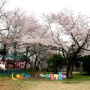 백구공원 이미지