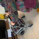 성곡동행정복지센터 이미지