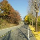 무주반디유치원 이미지