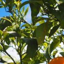 부산송정 이미지