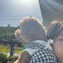 다옴 애견동반 펜션 | 여수 애견펜션, 여수 돌산읍 오션뷰 펜션: &#39;다옴&#39; 내돈내산 솔직 후기