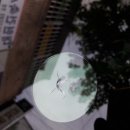 부산자동차유리복원 이미지