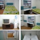 호동당구장 이미지