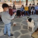 인덕 초등학교 병설 유치원 이미지
