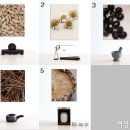 자연주의 이미지