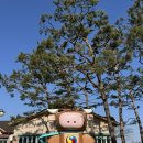 칠갑산청정한우타운 | 청양 화성농협칠갑산청정한우타운