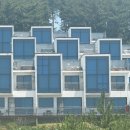 마레모어 이미지