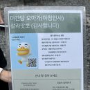 필리핀 세부 국룰 코스 스마일 호핑 투어 내돈내산 체험 후기 필수 준비물, 코스