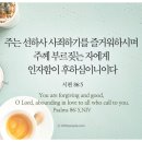 선하사 티스토리