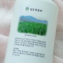설초록홍화