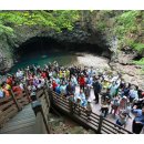 관인초교 이미지