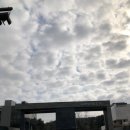 동탄역반도타운공인중개사사무소 네이버블로그