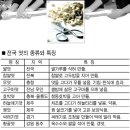 우리음식의 재발견 ③엿 (이승환/농민신문) 이미지