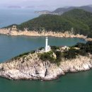 가덕도 동백군락지 이미지