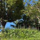 아이뷰뷰 | [블챌] 가평 프라이빗 감성 숙소 ‘빌라코지 풀빌라’ 후기🌳🧡