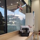 토마스동물병원 이미지