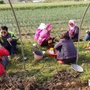 땅끝농장 이미지