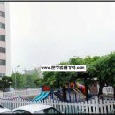 파래스 네이버블로그