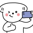 여우애김밥부산 이미지