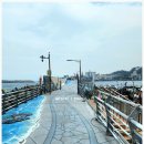 방파제 낚시 편의점 이미지