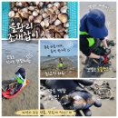 장봉어촌체험휴양마을 | 영종도 갯벌체험｜남북어촌체험마을 백합·동죽 조개체험 후기