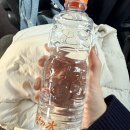예원트로피 | 11월 🧩