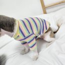 꼬로롱멍 이미지