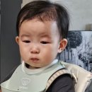포스빌테크 | 2024 월간 이시건 11월