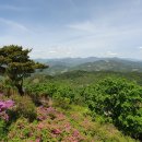 구봉산전망대 이미지