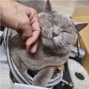 캐슬주방