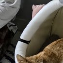 로하스 동물병원 이미지