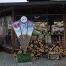 산들바람 | 쭌쓰와 함께한 힐림 글램핑 🏕️ 천안 산들바람 글램핑장 후기 2탄