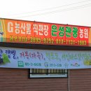 공룡포도쉼터화장실 이미지