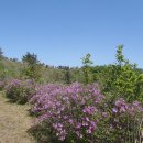 한치재주차장 이미지