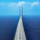 팡팡과일 이미지