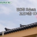 이가을 전통차