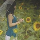 내마음의 보석상자./.존재의 이유./.등려군1탄- 첨밀밀 이미지