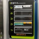 만세365병원 | 평택 고덕 365동물의료센터 동물병원 강아지 건강검진 가격 내돈내산